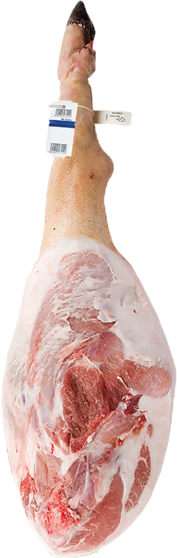 Panceta